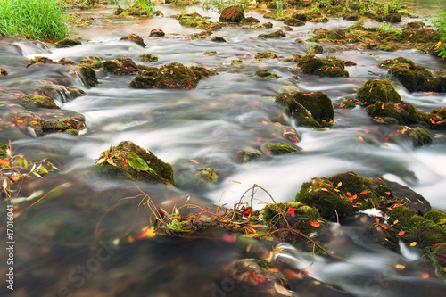 Rocks covered with moss and river stream