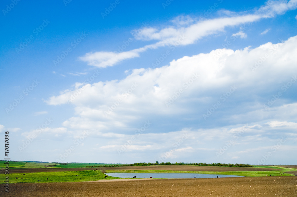 Landscape green filed the blue sky and white clouds Landscape green filed the blue sky and white clouds