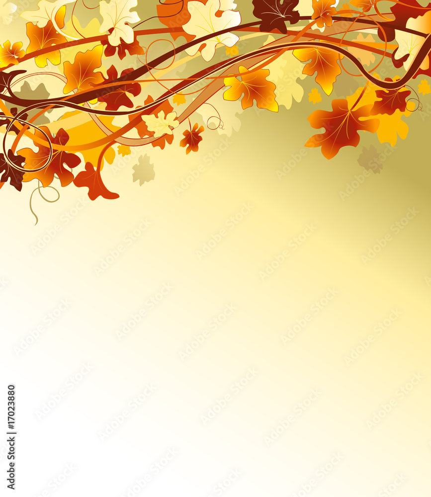 Fototapeta premium autumn