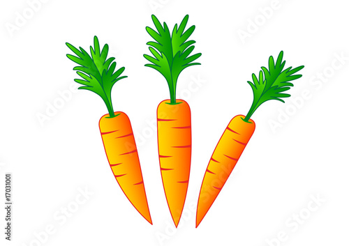 Carrots on a white background