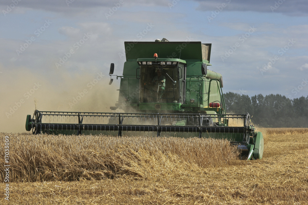 Obraz premium Getreideernte - Rapsernte