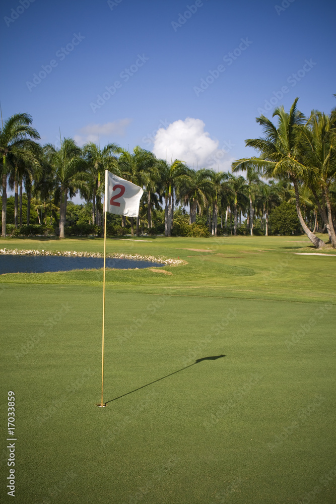 Fototapeta premium Flag number two