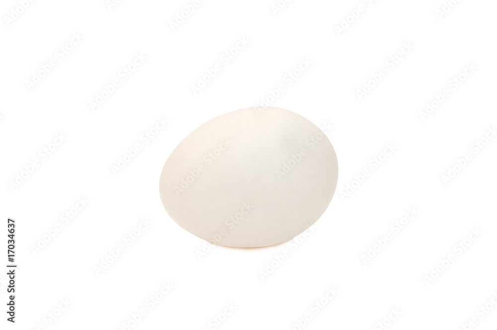 Egg isolated on white background Egg isolated on white background