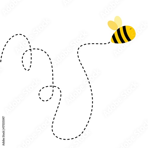 FLY FLY