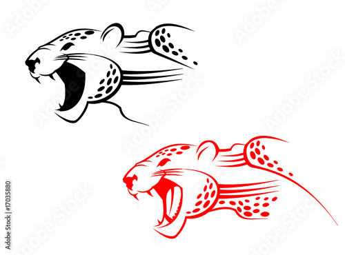 Wildcat sign as a symbol of danger