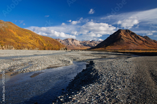 Denali National Park Toklat River