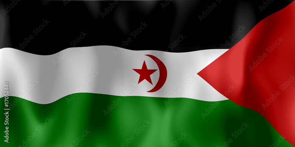Drapeau Sahara Occidental Western Sahara Flag Stock Photo Adobe Stock