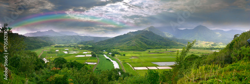 Panorama of the Taro Fields in Kauai Hawaii photo
