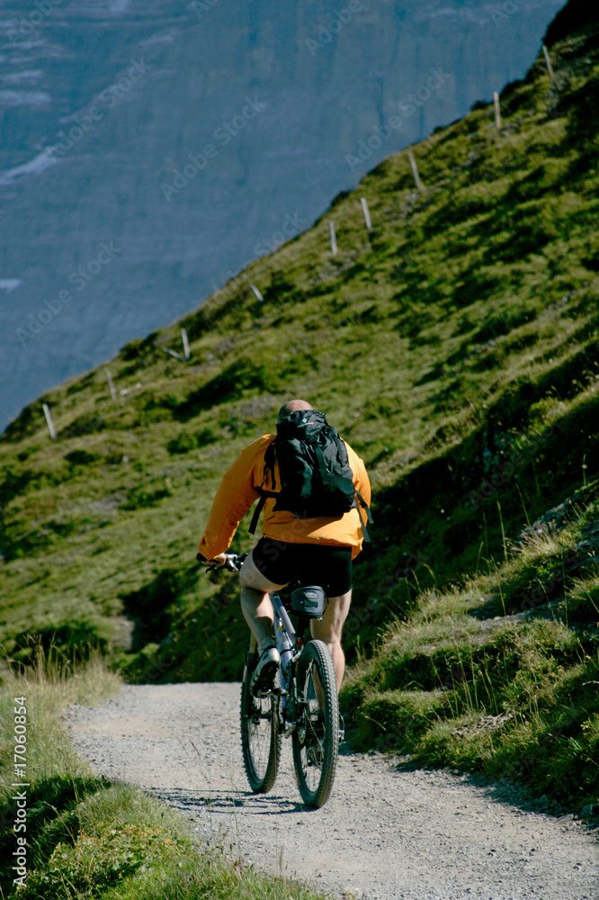 Fototapeta premium Fahrrad