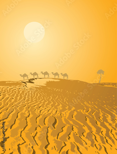 Desert