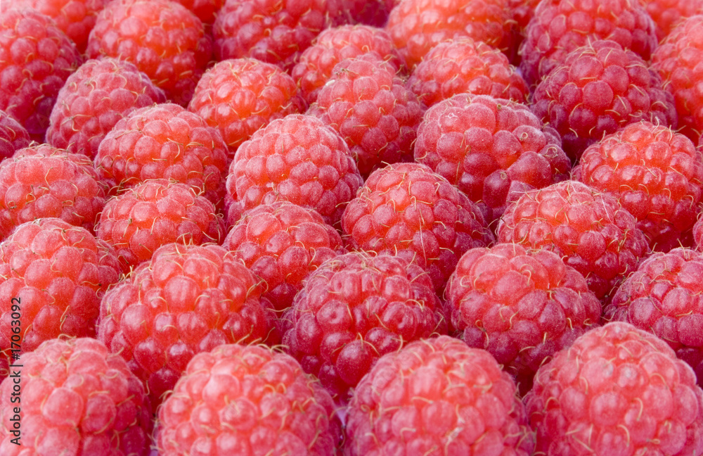 raspberries raspberries