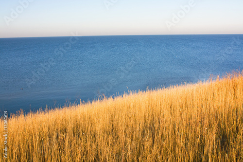 Dry grass on a background a sea