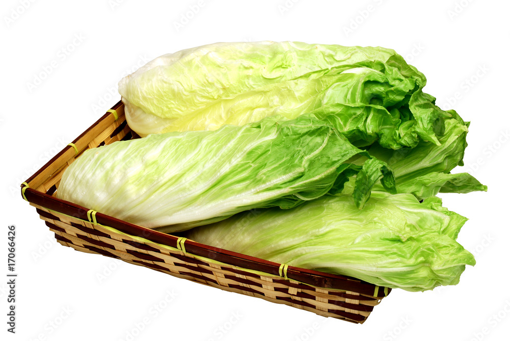insalata cicoria,milano Stock Photo | Adobe Stock