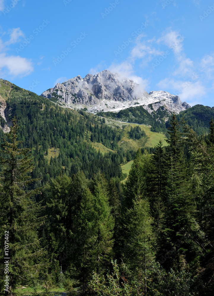 Fototapeta premium Montagna sopra i boschi