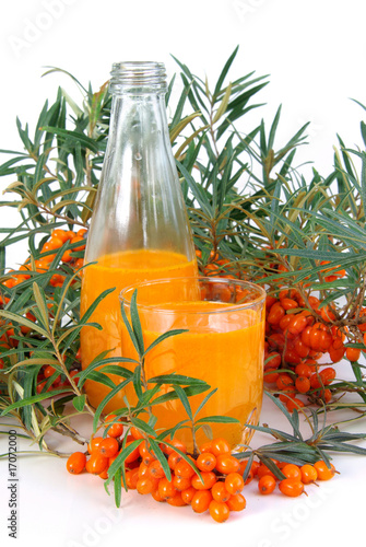 Sanddorn Saft - sallow thorn juice 07