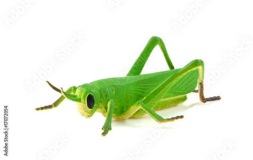 Green grasshopper plastic play toy © Sandra van der Steen