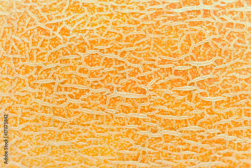 Texture skin of sweet yellow melon