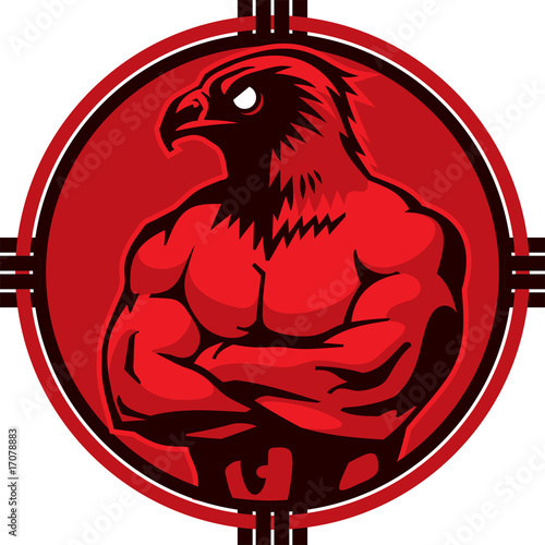 hawk