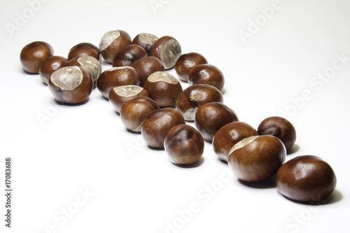 Wallpaper Mural kastanien Torontodigital.ca