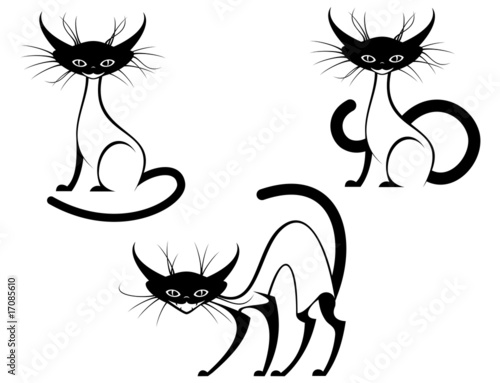 Fun cats