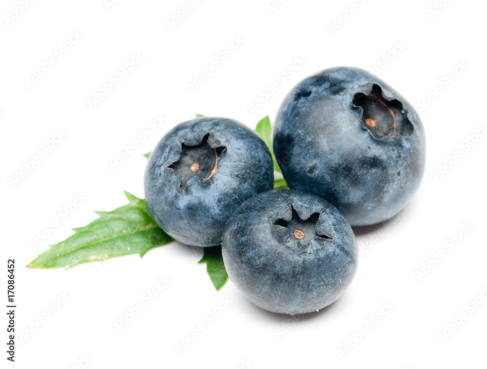 Obraz premium Blueberry