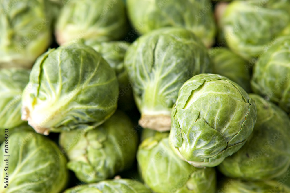 Brussel Sprouts in Pile Brussel Sprouts in Pile