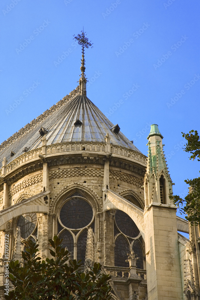 france; paris; Notre Dame : arrière