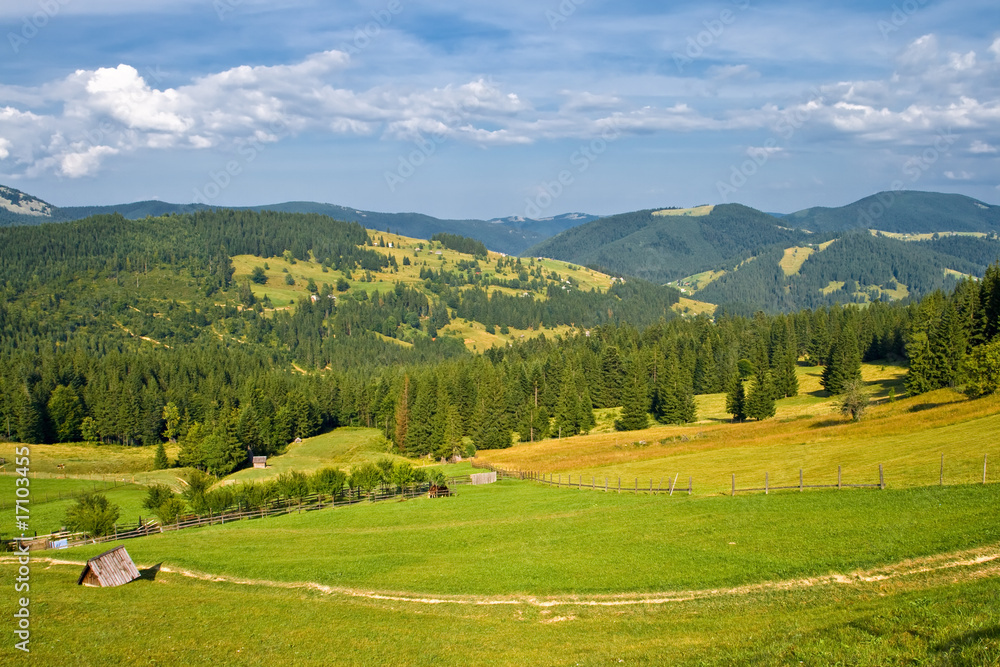 Green grass field landscape Green grass field landscape