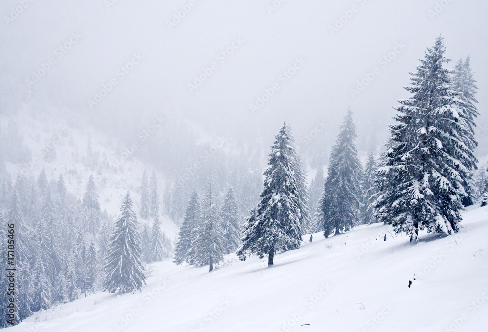 Obraz premium Winter landscape