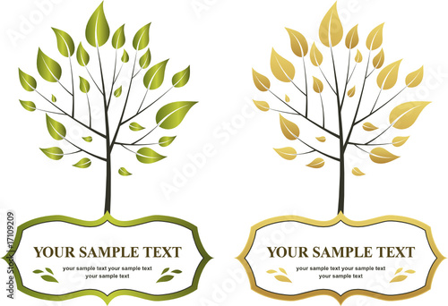 tree with frame