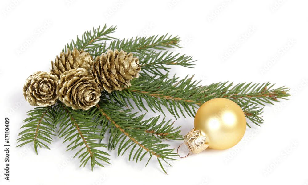 Twig of the spruce decorated with cones Twig of the spruce decorated with cones