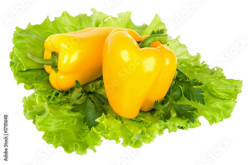 Fresh colorful vegetables isolated on white