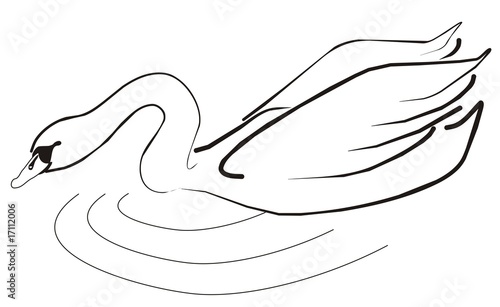 Schwan001