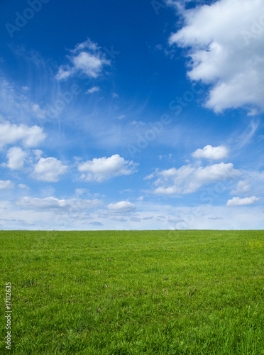 Green field and sky