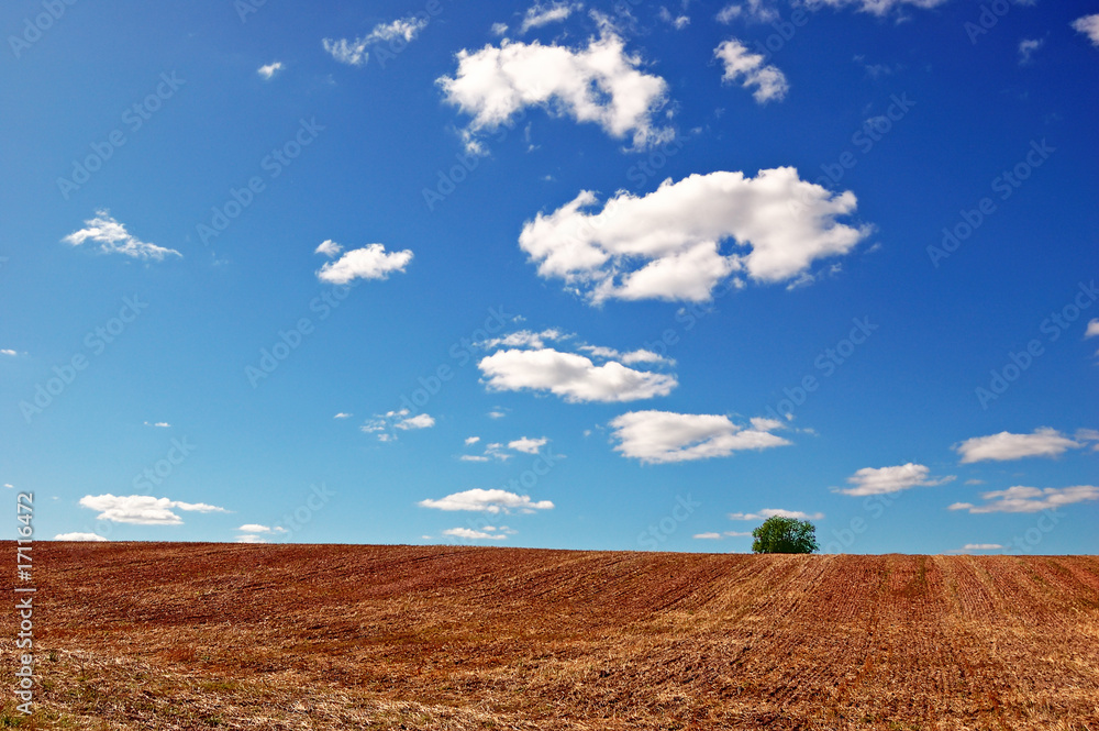 Empty harvested field under cloudy blue sky Empty harvested field under cloudy blue sky