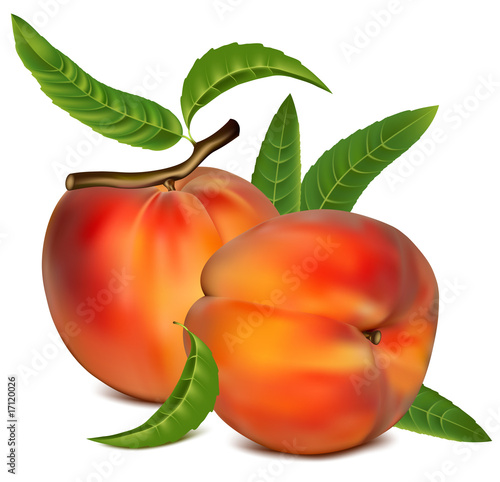 Vector illustration. Ripe peach fruit with green leaves.
