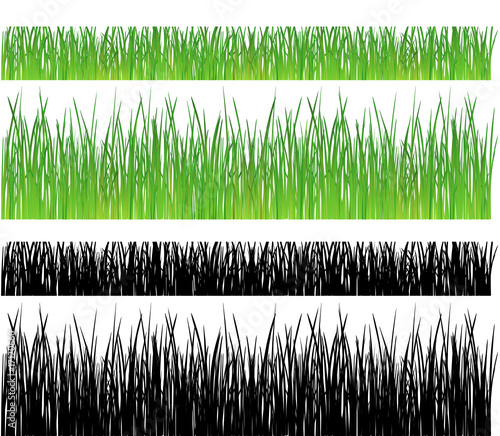Grass - vector illustration