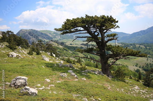 Parco Nazionale Pollino