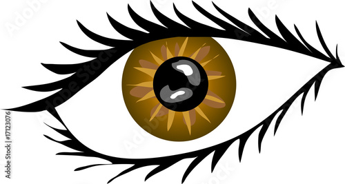 Braunes Auge mit Wimpern