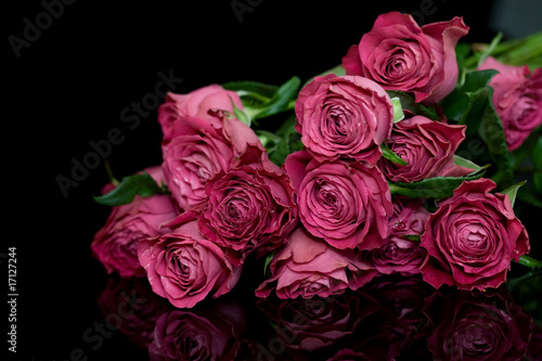 Violet roses