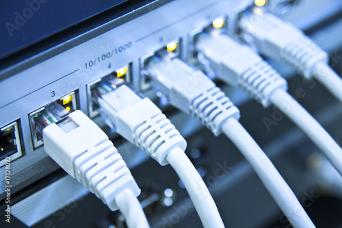 network cables connected to switch
