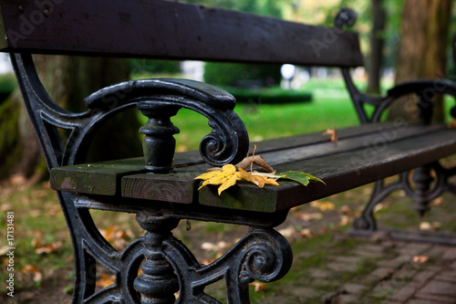 Park bench in autumn © B.G. Photography