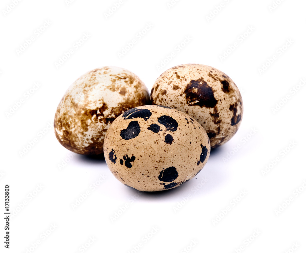 Quail egg Quail egg