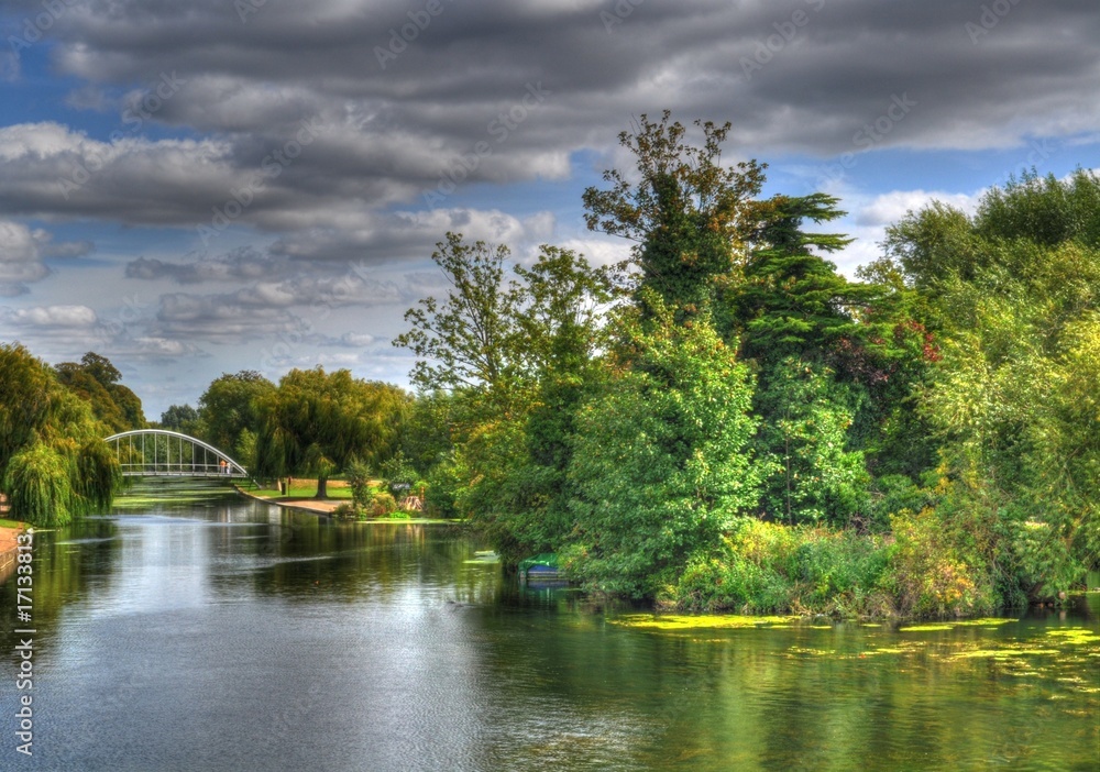 The Forked River