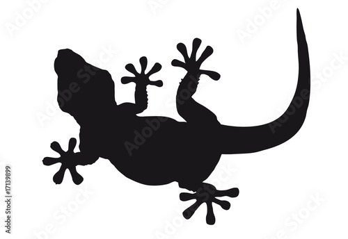 Silueta de lagarto