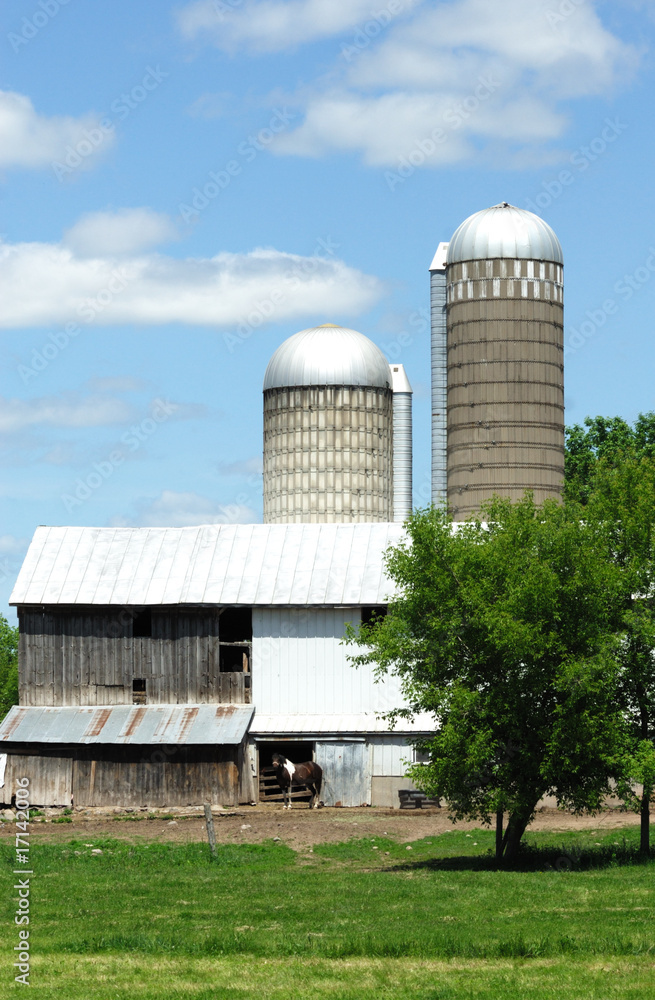 Old Barn and Two Silos
