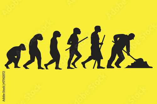 Humans evolution