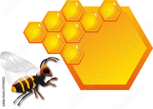 abeille
