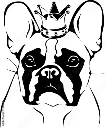 French Bulldog King