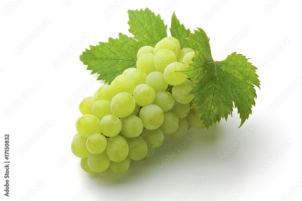 grape grape